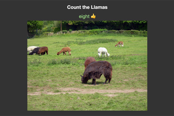 Count The Llamas